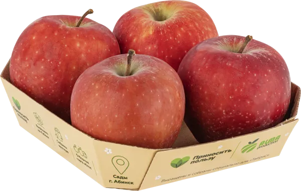 Изображение Фрукт калибр 70+ Табрис Яблоко Ред Делишес Алма Продакшн к/у, 4 шт