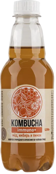 Изображение Напиток газ Абсолют Нэйчер Комбуча Имбирь мед лимон Живые соки п/б, 0,35 л