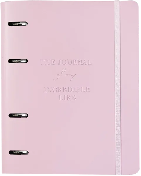 Изображение Тетрадь 120л клетка Инфолио Стади журнал розовая на кольцах БелКанБи м/у, 1 шт