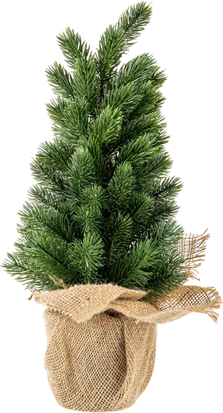 Изображение Елочка 46см настольная Табрис создавай атмосферу пушистая в горшке Кристмас Квин , 1 шт