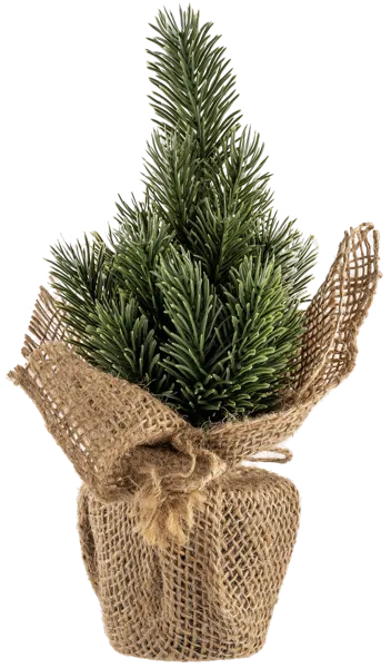 Изображение Елочка 25см настольная Табрис создавай атмосферу пушистая в горшке Кристмас Квин , 1 шт