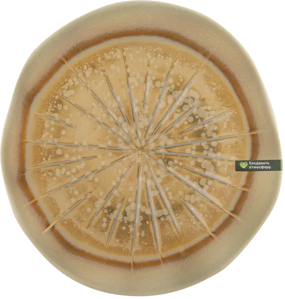 Изображение Тарелка 26см коричневая Табрис магическое волшебство Ловинг Хоум , 1 шт