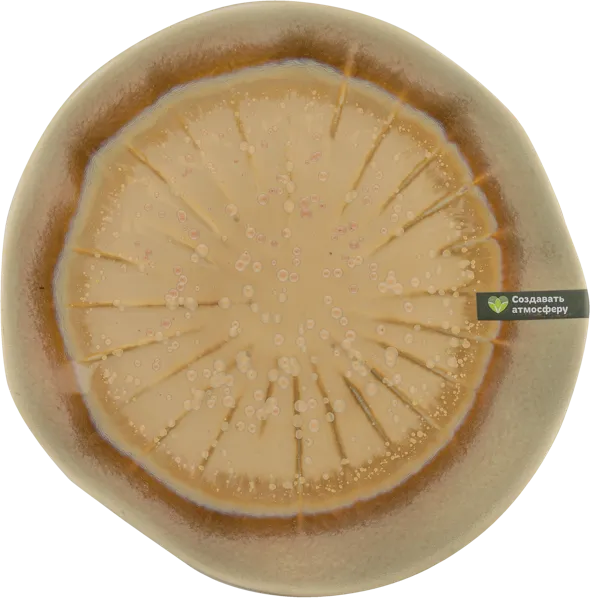 Изображение Тарелка 21см коричневая Табрис магическое волшебство Ловинг Хоум , 1 шт