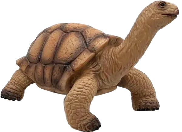 Изображение Фигурка 12 см Детское время черепаха коричневая Морефан Текнолоджи , 1 шт