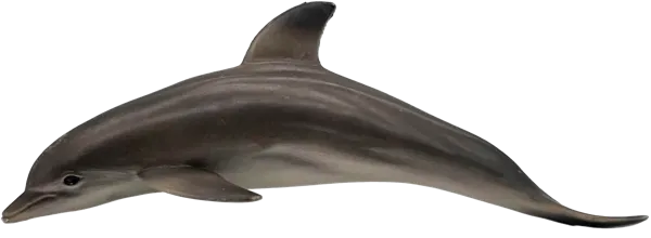Изображение Фигурка 12,5 см Детское время дельфин Морефан Текнолоджи , 1 шт