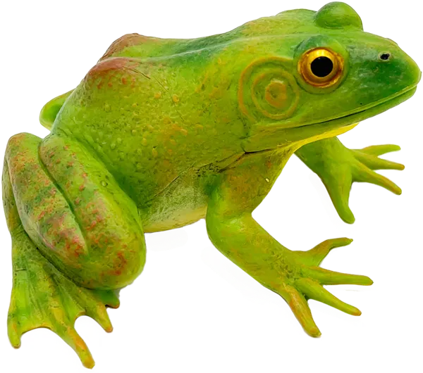 Изображение Фигурка 14,5 см Детское время лягушка-бык Морефан Текнолоджи , 1 шт