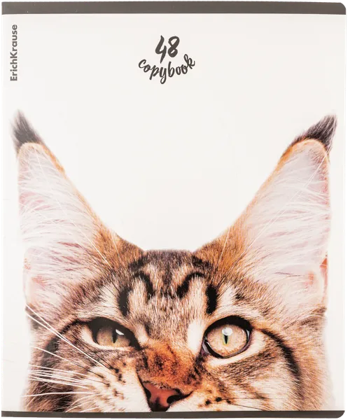 Изображение Тетрадь 48л клетка Эрих Краузе котики Эрих Краузе , 1 шт