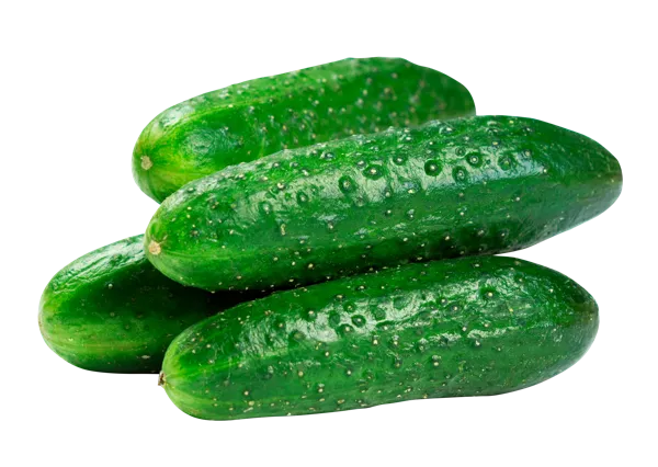 Изображение Овощ короткоплодный местный огурец бьерн  подложка, 650 г