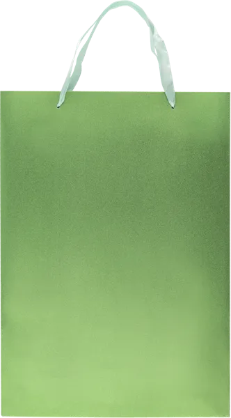 Изображение Пакет 30*42см подарочный Табрис цветы зеленый Джинхуа Синкань , 1 шт