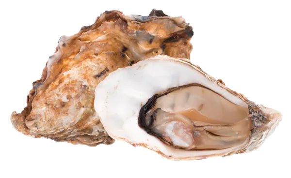 Изображение Морепродукты живые 60-100г устрицы маака Фетисов ИП шт, 1 шт