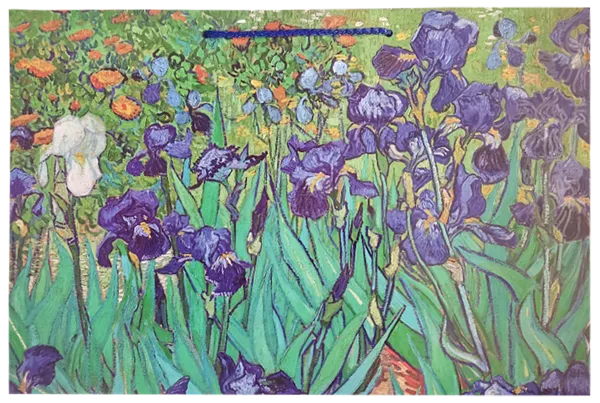 Изображение Пакет 60*40*20см ламинированный Лакарт в ассортименте Лакарт , 1 шт