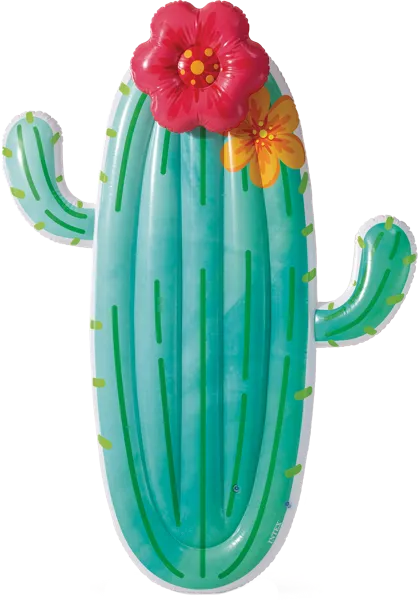 Изображение Плот 185*140см для плавания Интекс кактус Интекс к/у, 1 шт