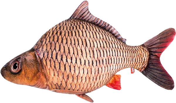 Изображение Мягкая игрушка 58 см Фэнси рыба Волшебный остров , 1 шт