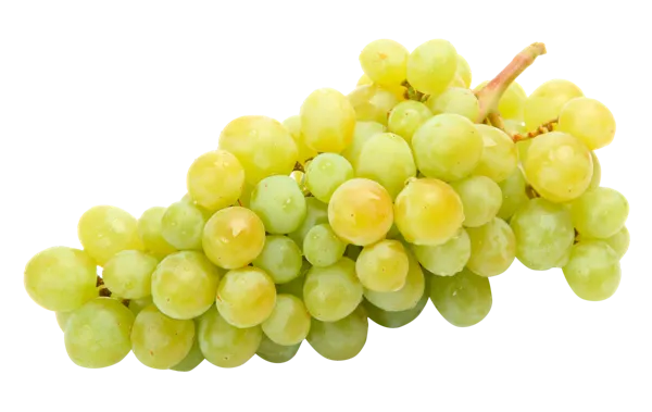 Изображение Ягода кишмиш виноград белый  к/у, 500 г