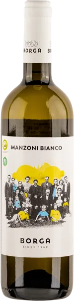 Изображение Вино белое п/сух стиль №2 Манзоне Бьянко Венето Борга 2022 Кантине Борга с/б, 0,75 л