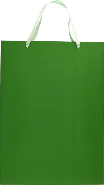 Изображение Пакет 30*42см подарочный Табрис зеленый Джинхуа Синкань , 1 шт