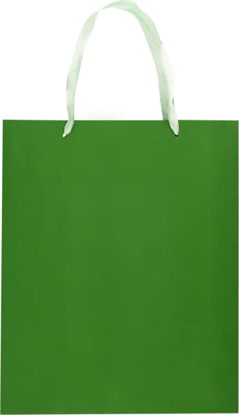 Изображение Пакет 26*32см подарочный Табрис зеленый Джинхуа Синкань , 1 шт