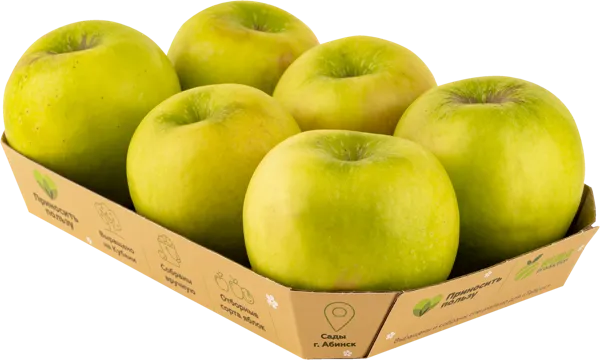 Изображение Фрукт калибр 75+ Табрис Яблоко Гренни Смит Алма Продакшн к/у, 6 шт