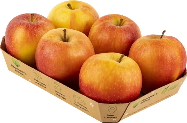 Изображение Фрукт калибр 70+ Табрис Яблоко Гала Алма Продакшн к/у, 6 шт