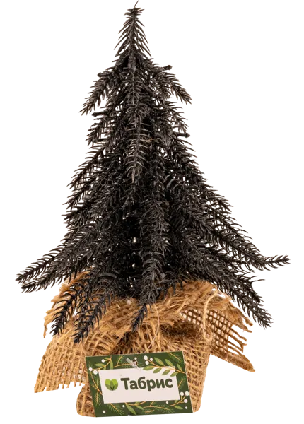 Изображение Елочка 20см настольная Табрис создавай атмосферу черная в горшке Кристмас Квин , 1 шт
