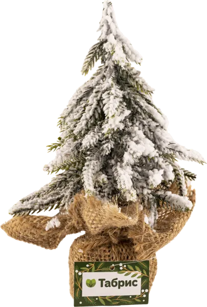 Изображение Елочка 20см настольная Табрис создавай атмосферу заснеженная в горшке Кристмас Квин , 1 шт