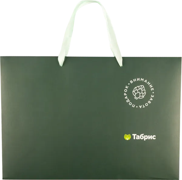 Изображение Пакет 39*27см бумажный Табрис артишок изумрудный ТАБРИС , 1 шт