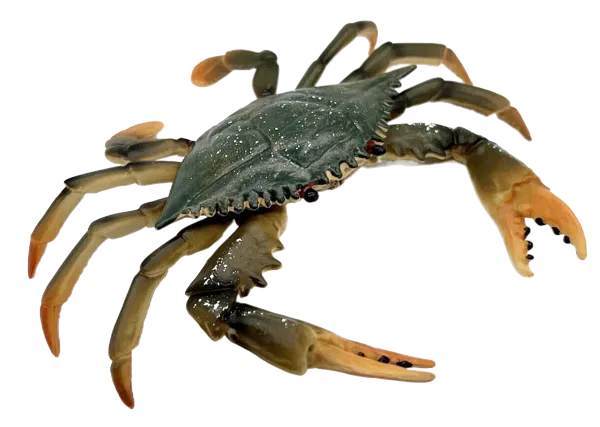 Изображение Фигурка 16,7 см Детское время краб Морефан Текнолоджи , 1 шт