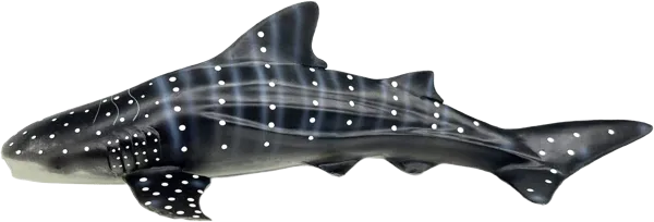Изображение Фигурка 29,8см Детское время китовая акула Морефан Текнолоджи , 1 шт