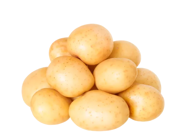 Изображение Корнеплод местный Кубанский фермер картофель белый Игнина Д.Р. сетка, 2 КГ