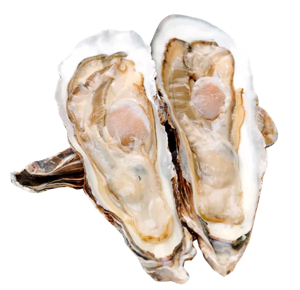 Изображение Морепродукты живые 100-150г устрицы императорские Фетисов А.А. шт, 1 шт