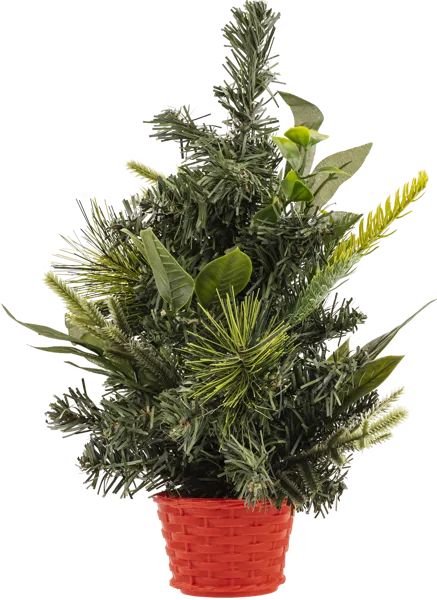 Изображение Елка настольная Гринтайм зеленая в горшке Нинбо ГринТайм , 1 шт