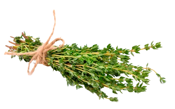 Изображение Зелень свежая тимьян Кубанские поля пучок, 40 г