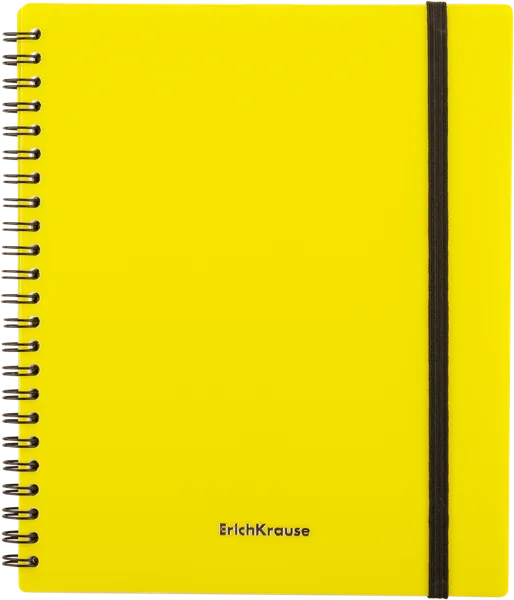 Изображение Тетрадь 80л клетка Эрих Краузе а5 неон на резинке Эрих Краузе , 1 шт