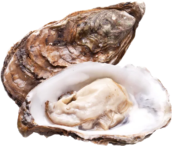 Изображение Морепродукты живые 150-200г устрицы хасанские Фетисов А.А. шт, 1 шт