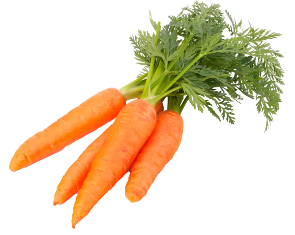 Изображение Корнеплод с зеленью Морковь молодая местная  пучок, 3 шт