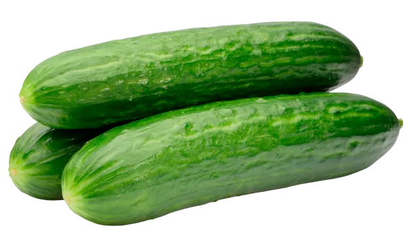 Изображение Овощ домашний огурец  подложка, 3 шт