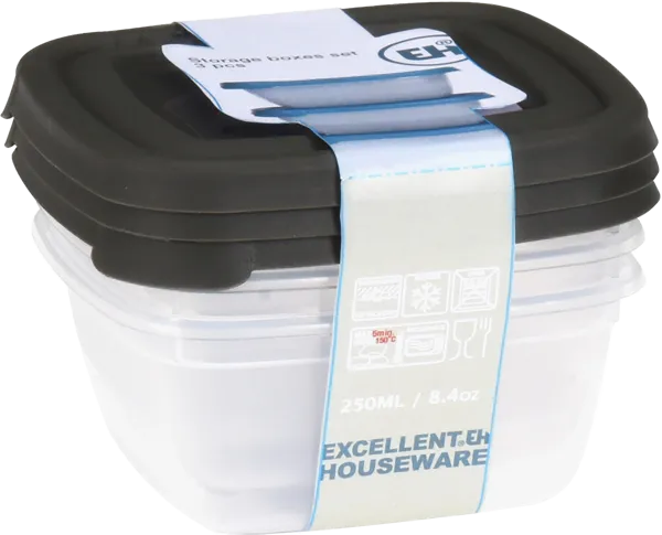 Изображение Контейнер 250мл пластик Купман прямоугольный с крышкой Купман Интернэшнл , 3 шт