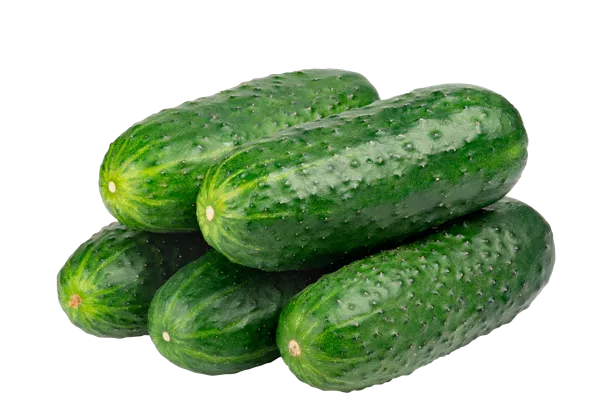 Изображение Овощ короткоплодный огурец тепличный Ситифрукт подложка, 700 г