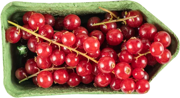 Изображение Ягода Смородина красная  к/у, 125 г