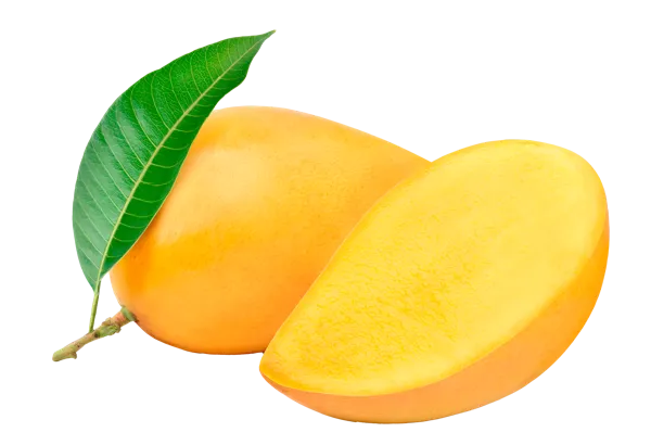 Изображение Плод  манго желтое , 1 шт