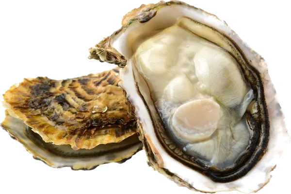 Изображение Морепродукты живые 60-100г устрицы хасанские Фетисов А.А. шт, 1 шт