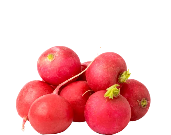 Изображение Корнеплод местный Кубанский фермер редис Игнина Д.Р. лоток, 300 г