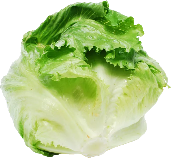 Изображение Салат свежий Белая дача айсберг кочан Белая дача м/у, 1 шт